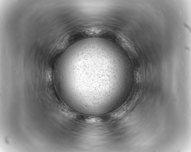 X0000093720561200710301026