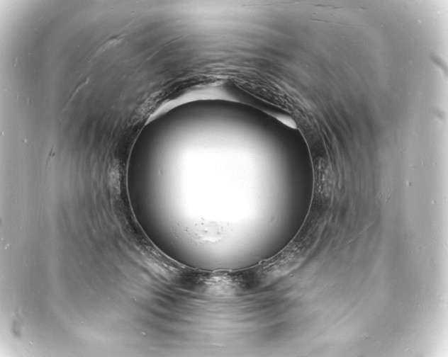 X0000093720562200710301026