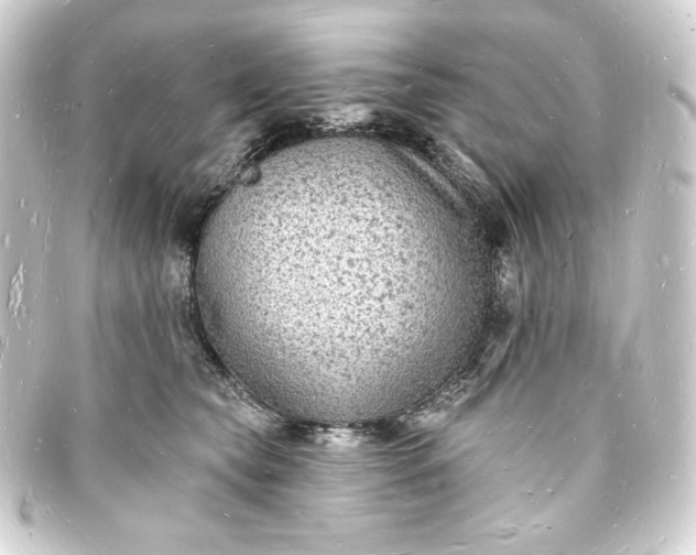 X0000093720565200710301027