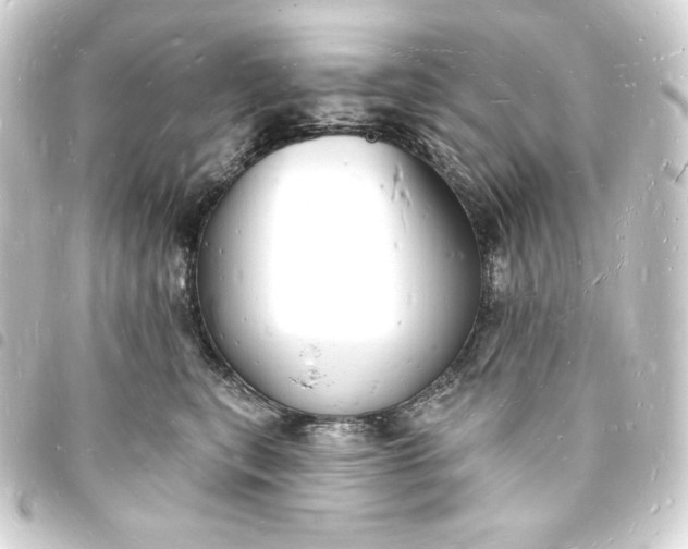 X0000093720567200710301027
