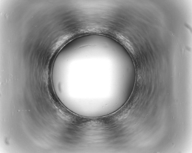 X0000093720578200710301026