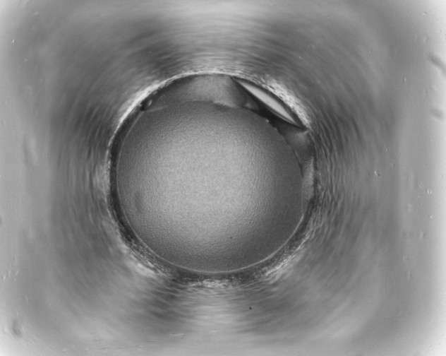 X0000093720580200710301026