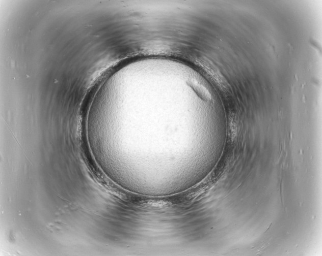 X0000093720583200710301026
