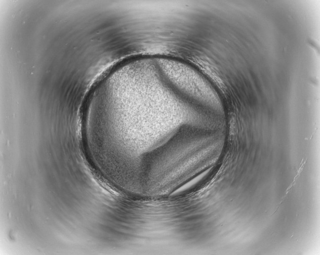 X0000093720584200710301026
