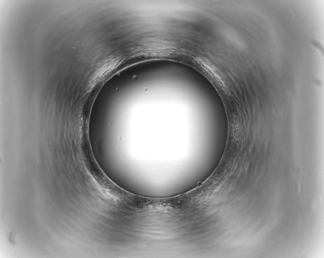 X0000093720586200710301026