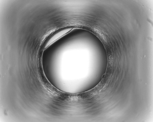 X0000093720587200710301026