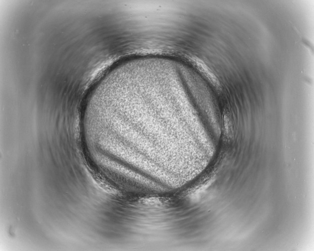 X0000093720588200710301026