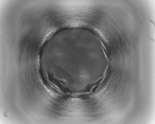 X0000093720590200710301026