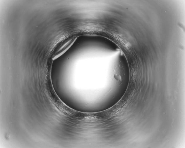 X0000093720591200710301026