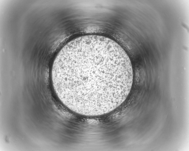X0000093720592200710301026