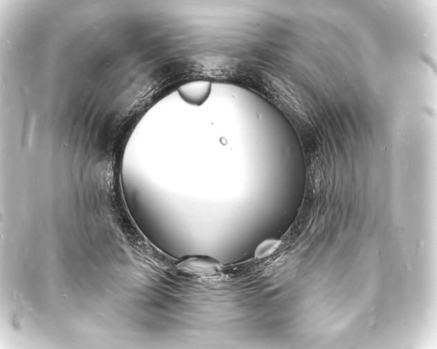 X0000093720595200710301026