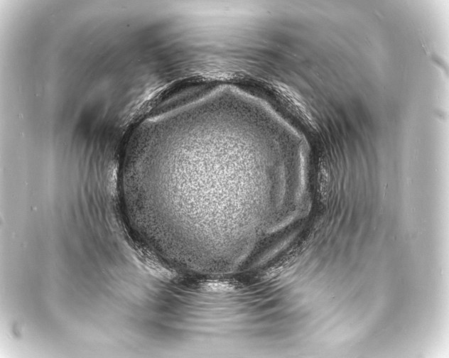 X0000093720596200710301026