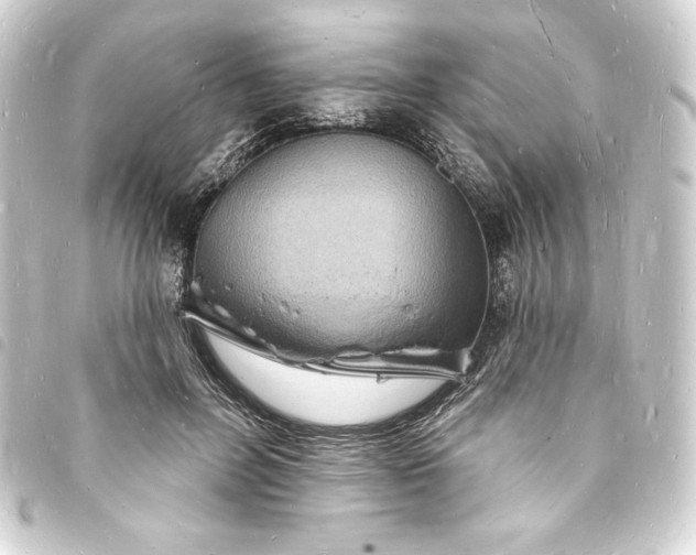 X0000093720600200710301026