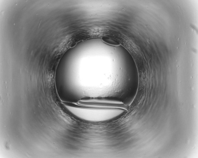 X0000093720601200710301026