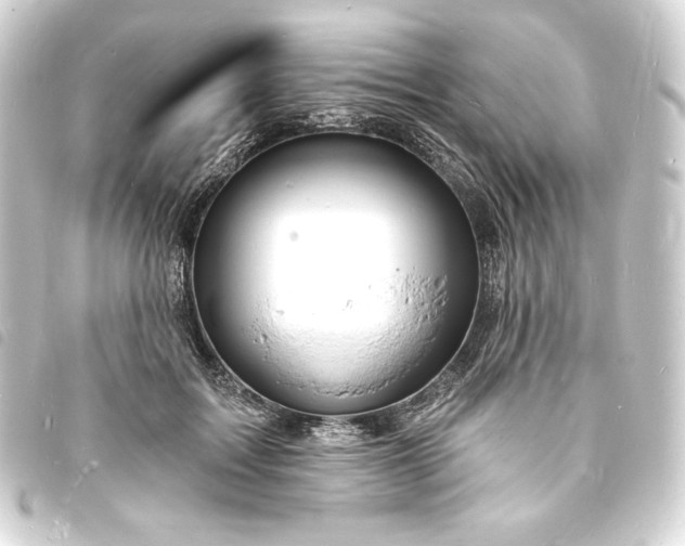 X0000093720603200710301026