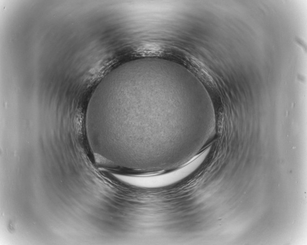 X0000093720604200710301026