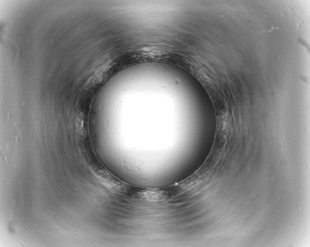 X0000093720615200710301025
