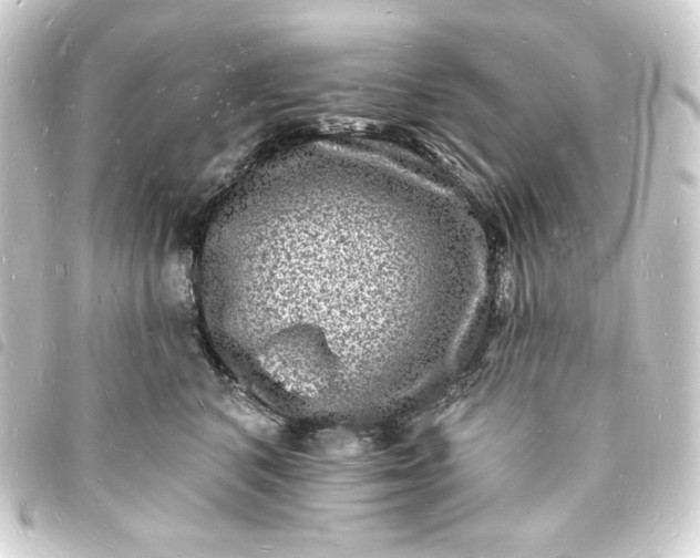 X0000093720616200710301025