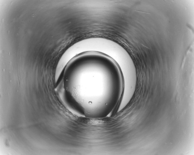 X0000093720617200710301025