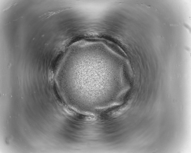 X0000093720624200710301025