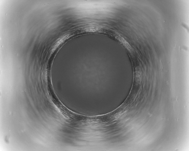 X0000093720626200710301025