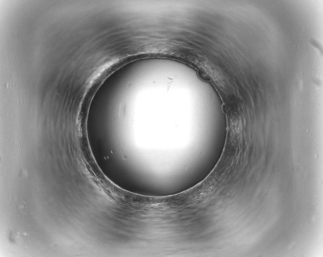 X0000093720628200710301025