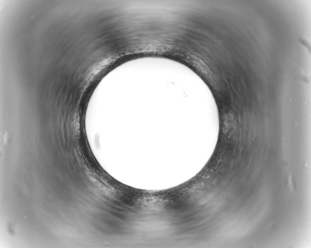 X0000093720632200710301025