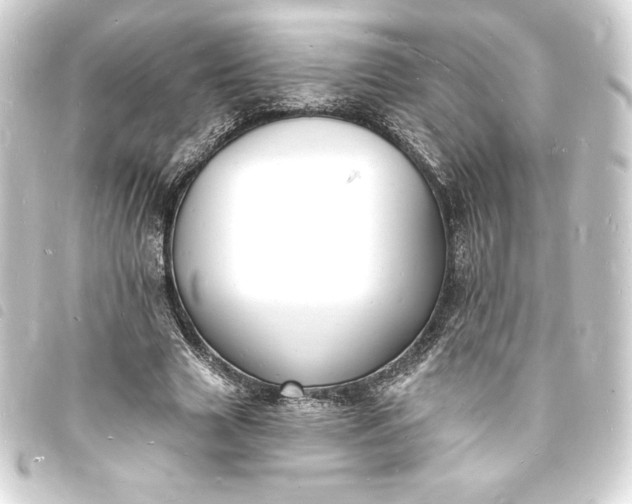 X0000093720633200710301025