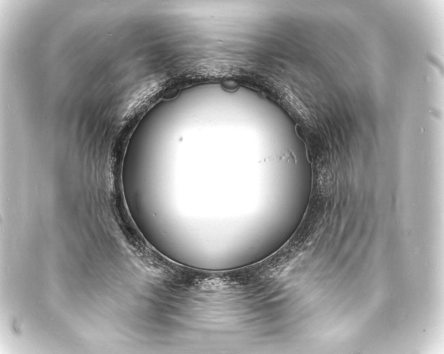 X0000093720635200710301025