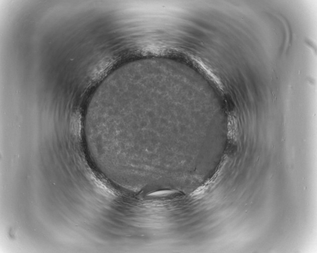 X0000093720637200710301025