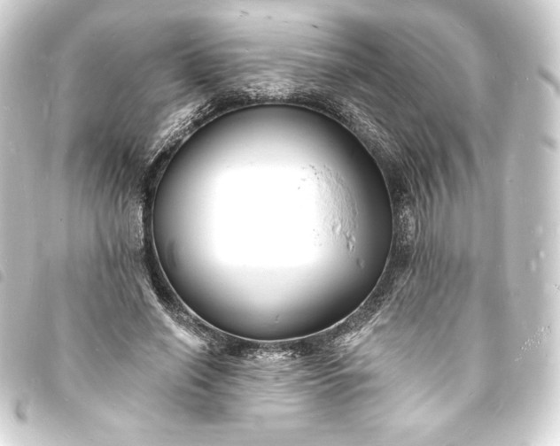 X0000093720638200710301025