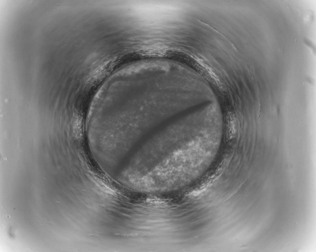X0000093720641200710301025
