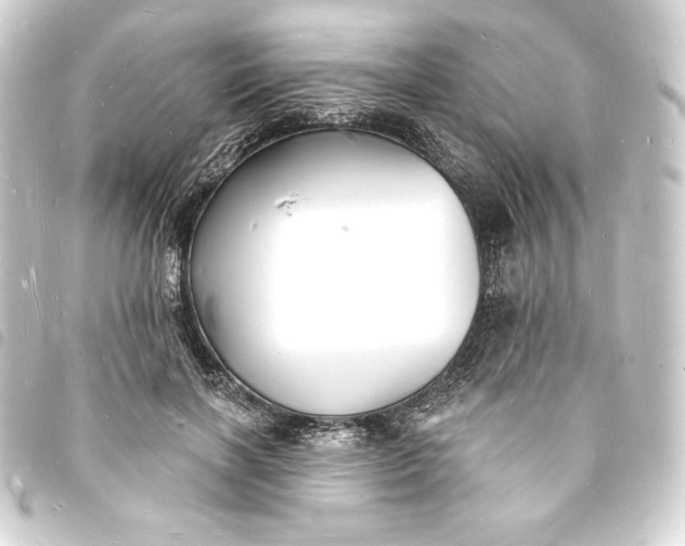 X0000093720646200710301025