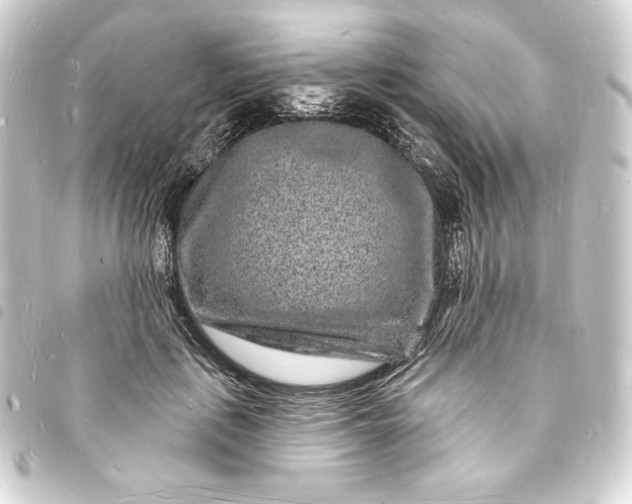 X0000093720651200710301025