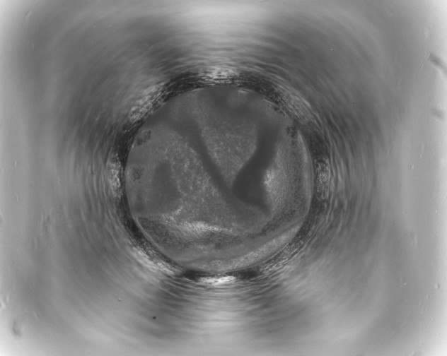 X0000093720654200710301025