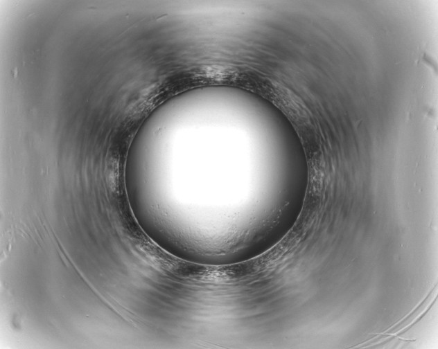 X0000093720656200710301025