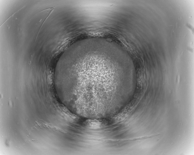 X0000093720658200710301025
