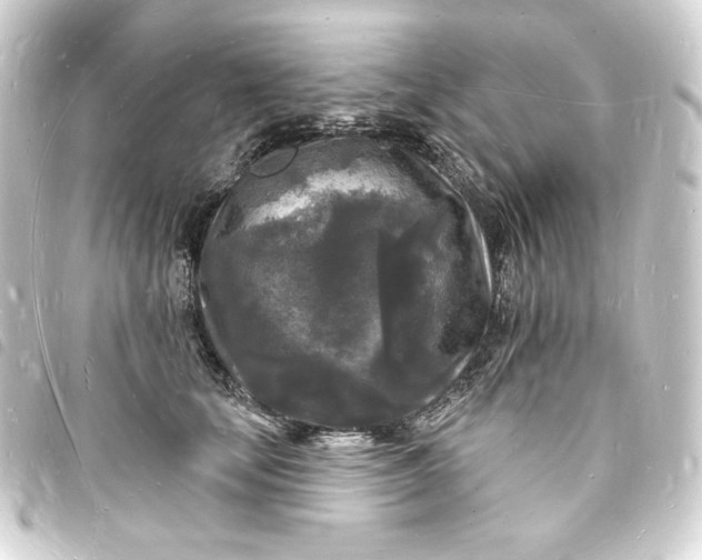 X0000093720659200710301025