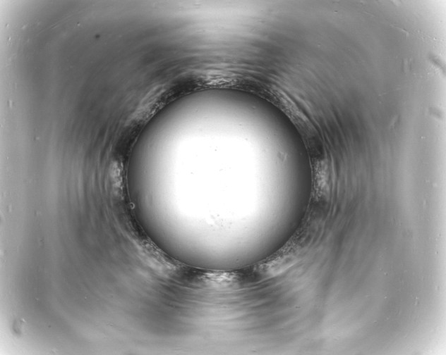 X0000093720667200710301025