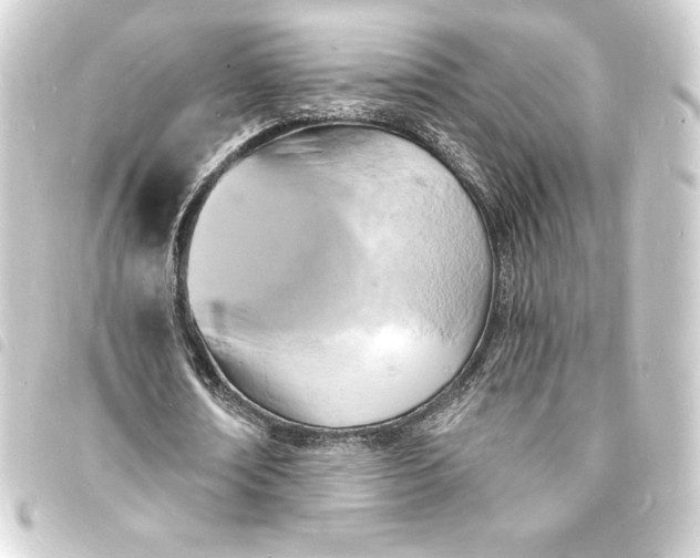 X0000093720674200710301025
