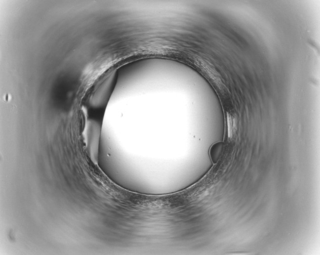 X0000093720675200710301025
