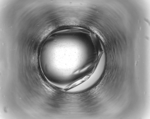 X0000093720677200710301025