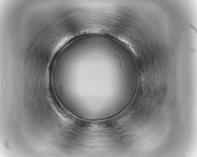 X0000093720678200710301025