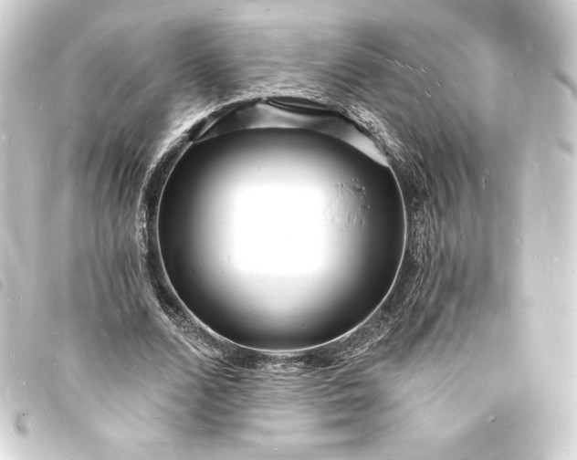 X0000093720680200710301025