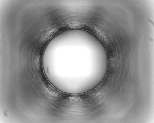X0000093720690200710301024