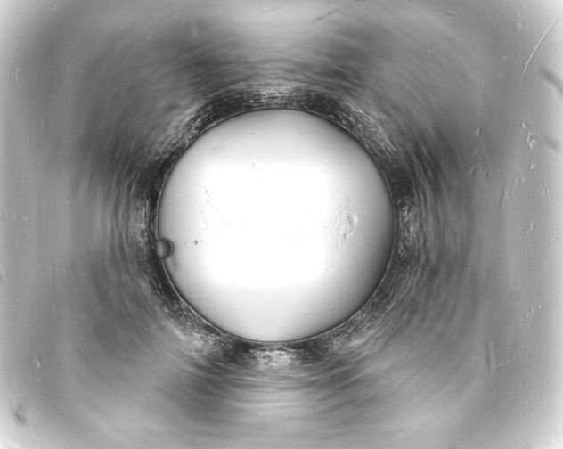 X0000093720698200710301024