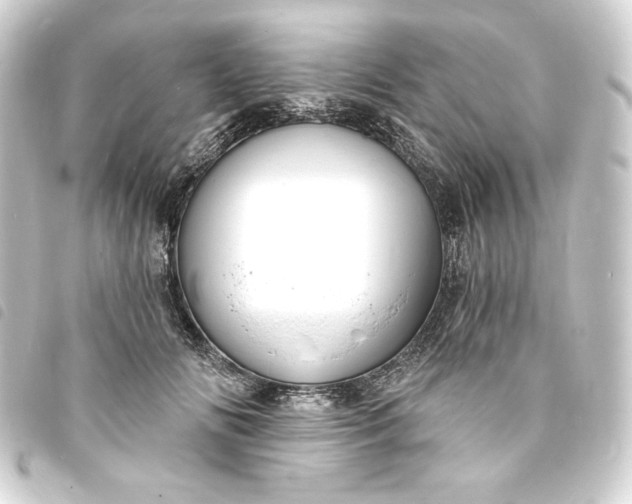 X0000093720702200710301024