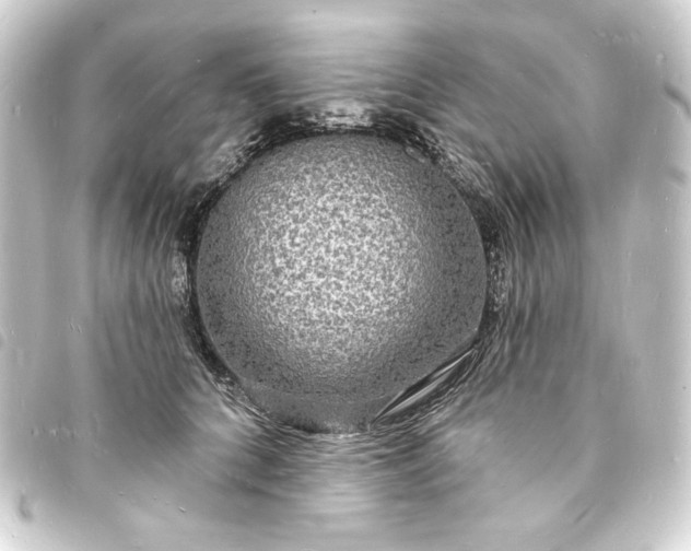 X0000093720704200710301024
