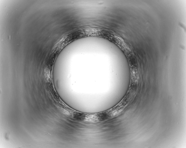 X0000093720705200710301024