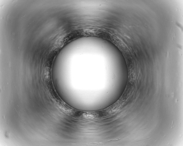 X0000093720706200710301024